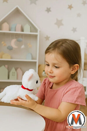 Sevimli Peluş Yavru Kedi 35 cm | Sesli Miyavlayan Oyuncak | Uyku ve Oyun Arkadaşı | 4 Renk Seçeneği