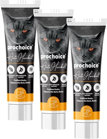 Anti Hairball Pasta Kediler İçin Kıl Yumağı Önleyici Vitamin 100 ml