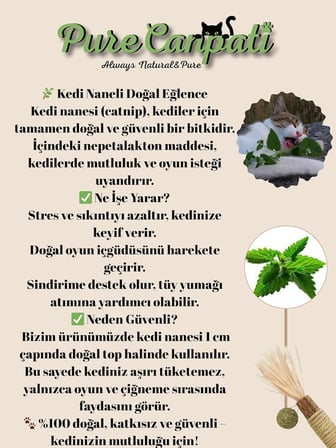 Kedi Naneli Matatabi Çubuğu– Kediler Için Doğal Oyun ve Mutluluk 3 Adet