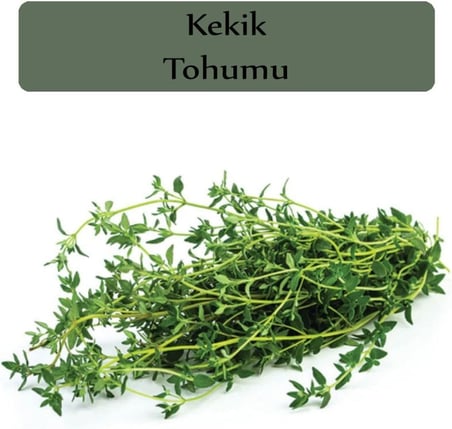 Kekik Tohumu 1 Paket (500 + Adet)