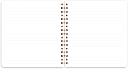 15x16 Spiralli Karton Kapak 2'li Çizgili Not Defter Seti - Ay