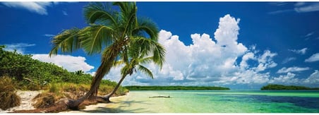Puzzle Paradise Palm 2000 Parça Panorama