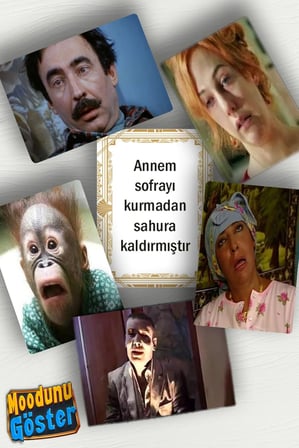 Solo Toys Moodunu Göster, Modun Ne, Hangi Moodsun Mood Oyunu, Modun Seç