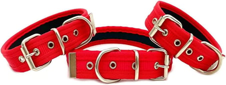 Yumuşak Dokulu Kolon Köpek Tasması (L, Kırmızı)