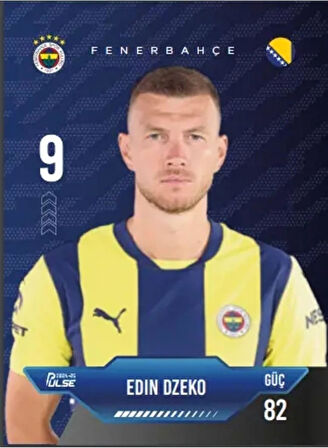 Lisanslı Fenerbahçe Pulse Futbolcu Kartları 2024-25 - 12 Kart