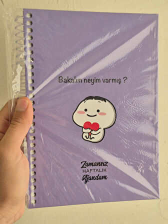 Zamansız Haftalık Stickerlı, Resimli, Renkli Spiralli Sert Kapak Ajanda 17x24 CM