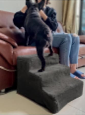 Kedi Köpek Merdiveni Fermuarlı 3 Basamak Sünger, Gri