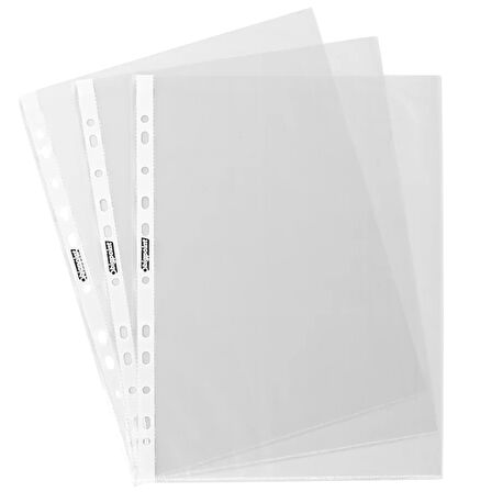 Bigpoint Poşet Dosya Standart 40 Mikron 100'lü Paket