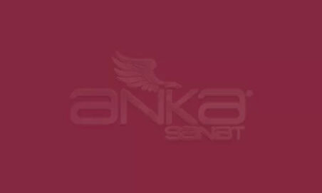 Copic Multiliner Teknik Çizim Kalemi 0,3mm Wine