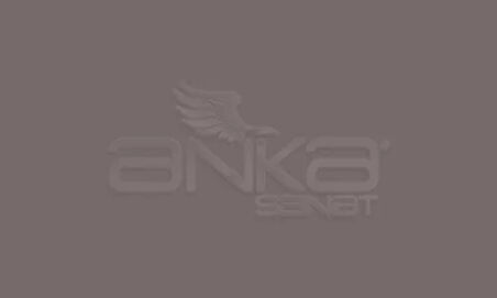 Copic Multiliner Teknik Çizim Kalemi 0,05mm Warm Grey