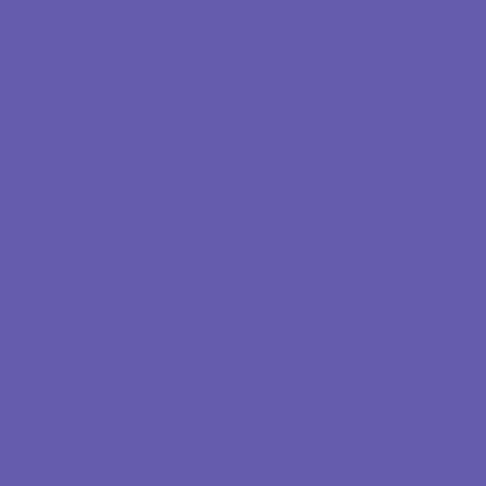 Zig Calligraphy II Çift Uçlu Kaligrafi Kalemi 2mm & 3.5mm-Violet 080