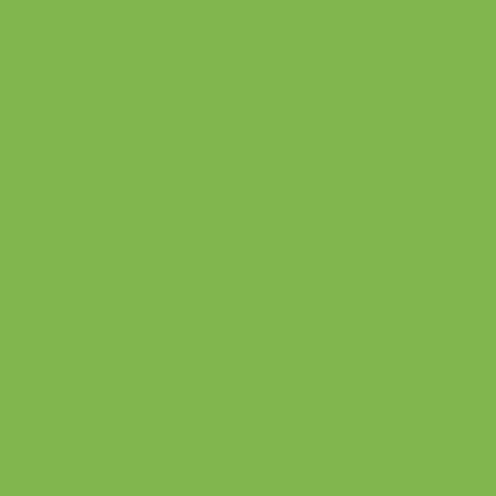 Zig Calligraphy II Çift Uçlu Kaligrafi Kalemi 2mm & 3.5mm-Light Green 041