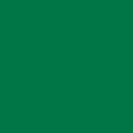 Zig Calligraphy II Çift Uçlu Kaligrafi Kalemi 2mm & 3.5mm-Green 040