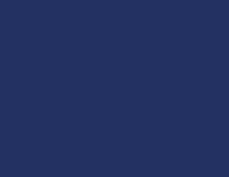 Zig Brush Writer II Fırça Uçlu Kalem Navy 035