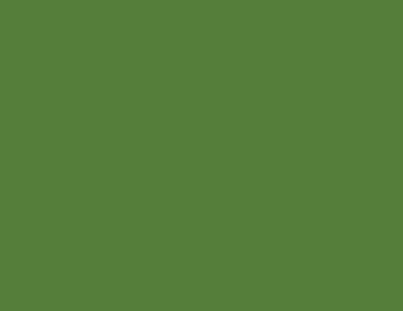 Zig Brush Writer II Fırça Uçlu Kalem Evergreen 44