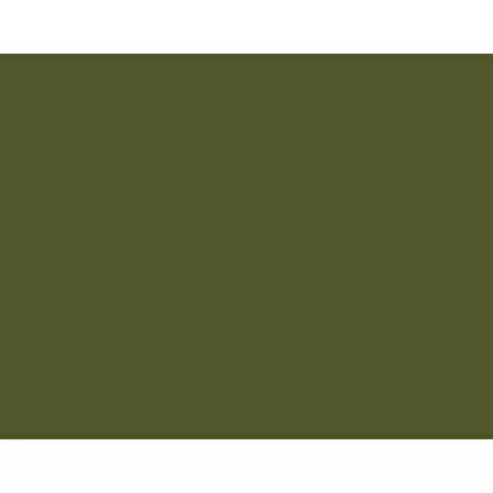 Derwent Drawing Pencil Renkli Çizim Kalemi 5160 Olive Earth
