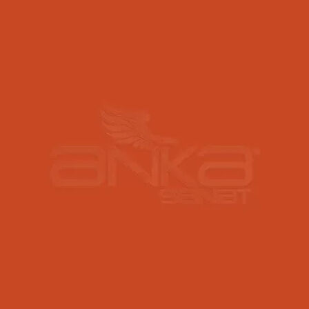 Lyra Groove Renkli Kalem 1739 Turuncu