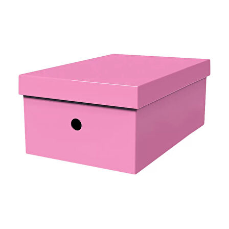 MAS 8226 RAİNBOW KARTON BÜYÜK BOY ARŞİV KUTUSU PEMBE