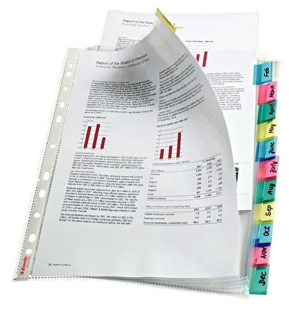 Esselte 414170 Ayraçlı Poşet Dosya (12 Sayfa)