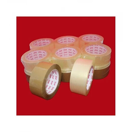 Koli Bantı 45x100 Şeffaf