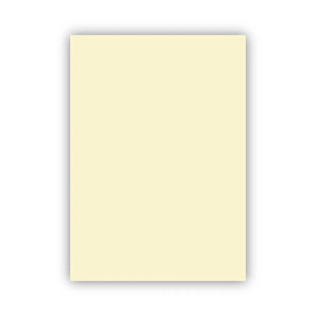 Bigpoint Fon Kartonu 50x70cm 160 Gram Fildişi