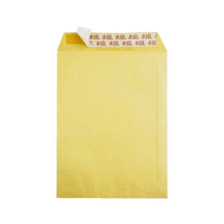 Doğan Torba Zarf 300x400mm 100gr Formula E x pres 25'li