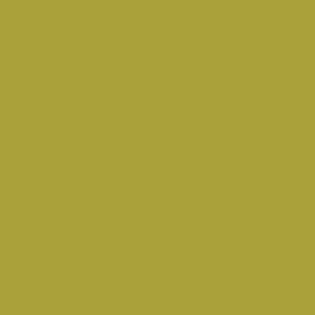 Touch Twin Brush Marker Y224 Olive Pale