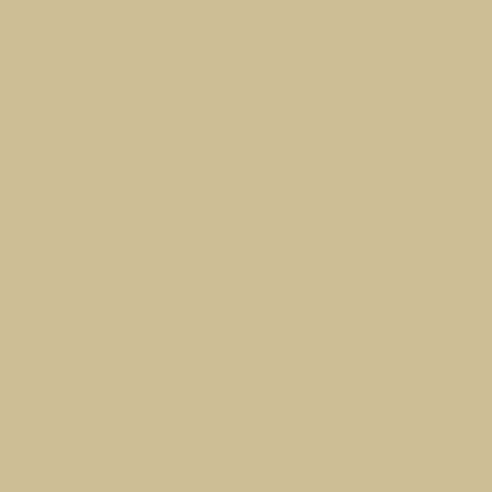 Touch Twin Brush Marker Y223 Straw Yellow