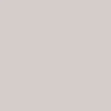 Touch Twin Brush Marker WG2 Warm Grey