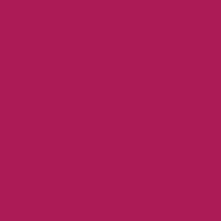 Touch Twin Brush Marker R2 Old Red