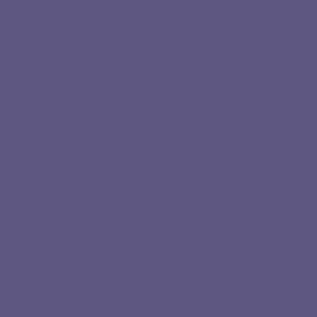 Touch Twin Brush Marker PB274 Violet Dark