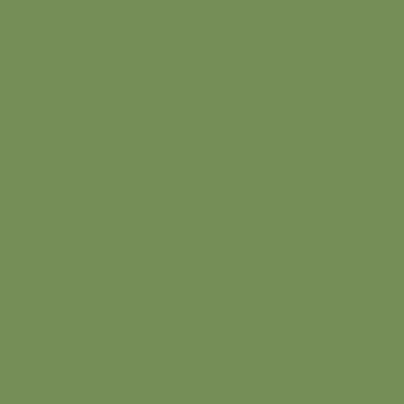 Touch Twin Brush Marker GY235 Sap Green