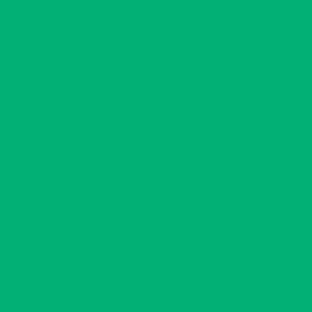 Touch Twin Brush Marker G56 Mint Green