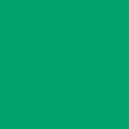 Touch Twin Brush Marker G55 Emerald Green