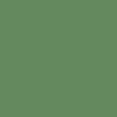 Touch Twin Brush Marker G43 Deep Olive Green
