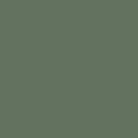 Touch Twin Brush Marker G241 Grayish Green Deep