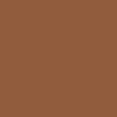 Touch Twin Brush Marker BR96 Mahogany