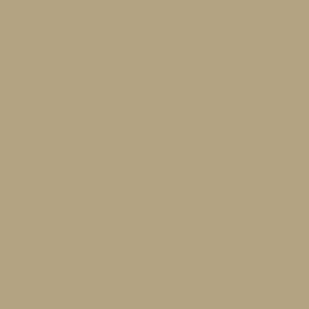 Touch Twin Brush Marker BR116 Clay