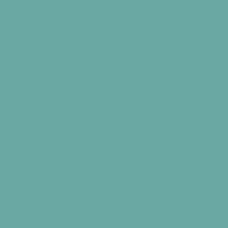 Touch Twin Brush Marker BG251 Verona Blue