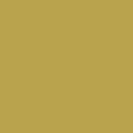 Touch Twin Marker Y41 Olive Green
