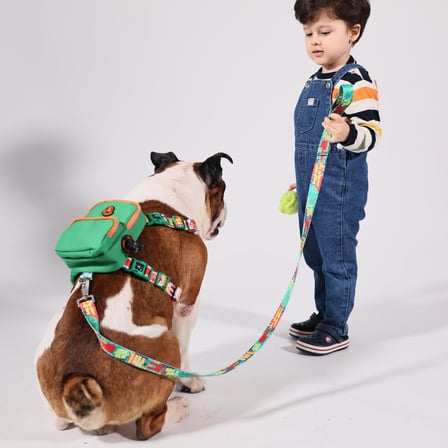 Gimme Five Yeşil Çantalı Göğüs Tasması, Köpek Sırt Çantası – Göğüs Tasması İşlevli, Geri Dönüştürülmüş Malzeme, Ayarlanabilir, Çok Cepli, 5 Renk Seçenekli, Şık ve Fonksiyonel Recycled