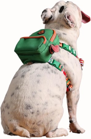 Gimme Five Yeşil Çantalı Göğüs Tasması, Köpek Sırt Çantası – Göğüs Tasması İşlevli, Geri Dönüştürülmüş Malzeme, Ayarlanabilir, Çok Cepli, 5 Renk Seçenekli, Şık ve Fonksiyonel Recycled
