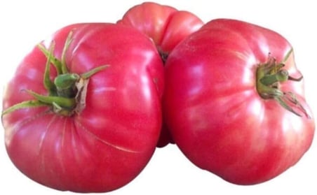 Nadir İri Pembe Domates Tohumu 20 Adet Tohum Bulgar Domatesi