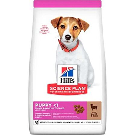 Hills small mini puppy kuzu pirinç yavru köpek maması 3kg mini ırk kuzu pirinçli yavru köpek maması