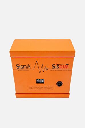 Sismik Siscut Elektronik Asansör Deprem Sensörü İki Çıkışlı