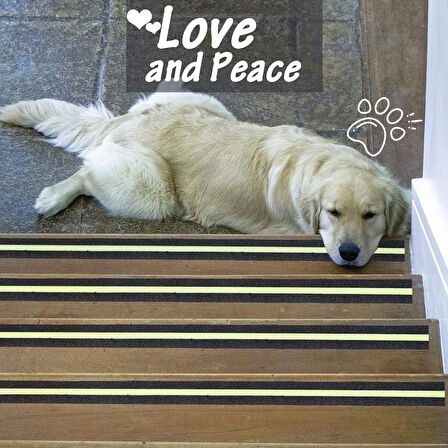 Fosforlu Kaydırmaz Bant 5cmx3m Yeşil Fosforlu Merdiven Bandı 50mm Fotolümenli