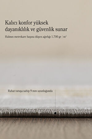 Salon Halısı Oturma Odası Halısı Mutfak Halısı Polyester Halı Gold Halı Modern Halı Yumuşak Halı