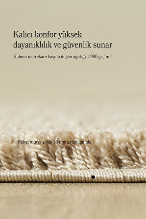 Modern Desenli Salon Halısı Bej Halı Peluş Halı Yıkanabilir Post Halı Kaymaz Taban Halı