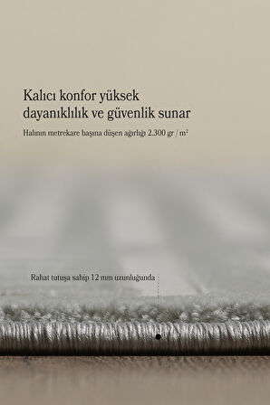 Modern Oturma Odası Halısı Salon Halısı Yolluk Gri Halı Hav Toz Vermez Kolay Temizlenebilir Halı