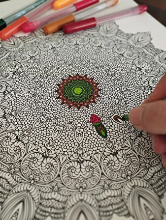 Mandala, el boyabası, çerçeveli tablo